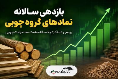  بازدهی سالانه نمادهای گروه چوبی | چخزر با رشد ۲۱۰ درصدی صدرنشین شد