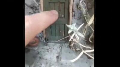 فیلم برداری اتفاقی و شگفت انگیز از خانه کوتوله ها / پس آدم کوتوله ها اندازه یک بند انگشت انسان وجود ادارند