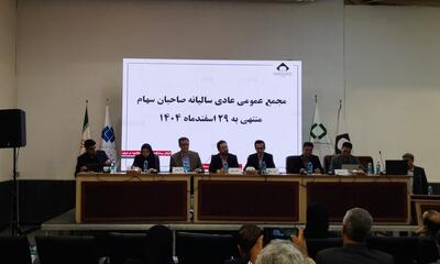 کزغال چه میزان سود تقسیم کرد؟