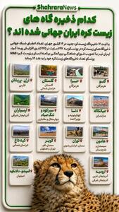 اینفوگرافی| کدام ذخیره گاههای زیست کره ایران جهانی شدهاند؟