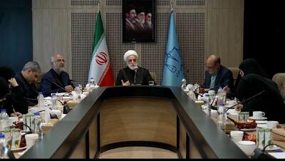  رئیس قوه قضاییه: به تفاهم مشترک نیاز داریم/ چرا خانواده یک مجرم باید از خطای او آسیب ببینند؟ + فیلم