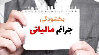 مدیرکل امور مالیاتی البرز: مهلت بخشودگی جرایم مالیات بر ارزش افزوده برای مؤدیان تمدید شد