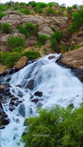 عکس: آبشار خروشان در طبیعت زیبای فریدون شهر اصفهان
