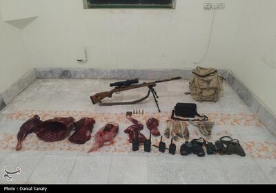 شکار غیرمجاز قوچ وحشی شکارچی را به یک سال حبس محکوم کرد - تسنیم