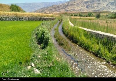  خسارت زیرساختی به قطب کشاورزی چرام فیلم - تسنیم