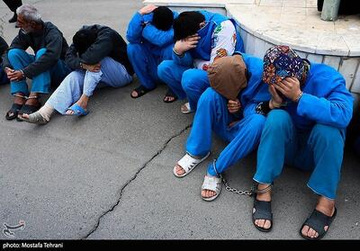 باند 7 نفره سارقان زورگیر در شهرری منهدم شد - تسنیم