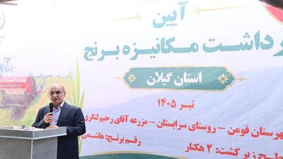  افزایش بهره‌وری؛ راه اقتصادی شدن تولید برنج