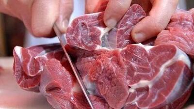  ۶۰ درصد بیماری‌های عفونی منشا حیوانی دارند