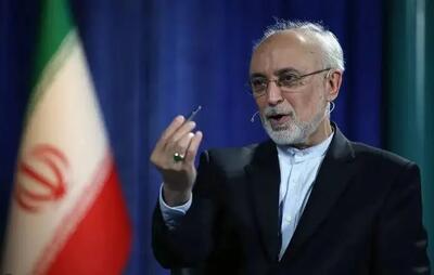  صالحی: چاقویی که ظاهرا آمریکا برای ایران تیز می‌کند در حقیقت برای چین و روسیه است
