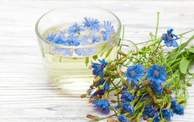 فواید عرق پاپارا برای کبد و گوارش را بشناسید