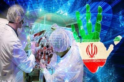  اشتغال نخبگان در شرکت‌های نوآور احتمال ماندگاری آنان در کشور را تا ۷۰ درصد افزایش می‌دهد