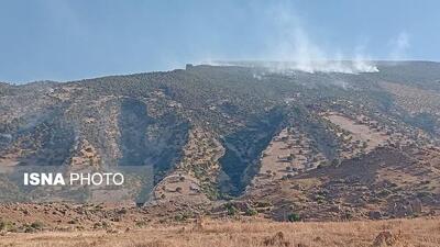  استقرار ۱۰۰ دیده‌بان در مناطق بحرانی و مستعد آتش‌سوزی لرستان