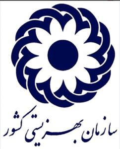رئیس اداره بهزیستی بروجرد: بیش از ۷۵۰۰ معلول از خدمات بهزیستی بهرهمند هستند