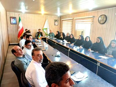  آغاز اجرای طرح «شبکه ملی مزارع الگویی کشاورزی» در ایلام