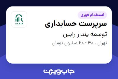  استخدام سرپرست حسابداری در توسعه پندار رابین