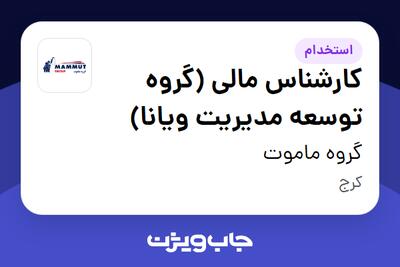  استخدام کارشناس مالی (گروه توسعه مدیریت ویانا) - آقا در گروه ماموت