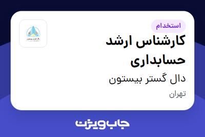  استخدام کارشناس ارشد حسابداری در دال گستر بیستون