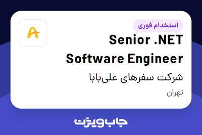 استخدام Senior .NET Software Engineer در شرکت سفرهای علیبابا