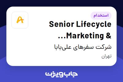 استخدام Senior Lifecycle Marketing Automation Specialist در شرکت سفرهای علیبابا