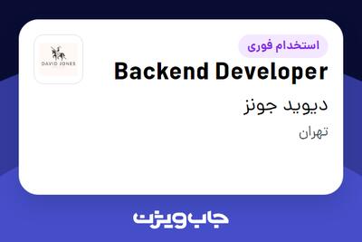  استخدام Backend Developer در دیوید جونز