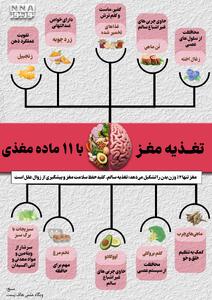 نوراینفو | تغذیه مغز با 11 ماده غذایی