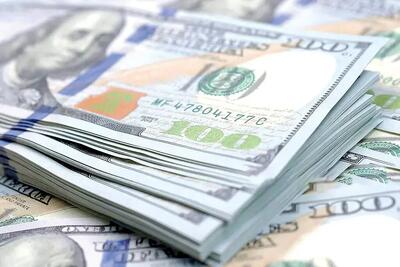  آخرین قیمت دلار امروز دوشنبه 29 تیر 1405/ رشد 226 تومانی قیمت دلار توافقی