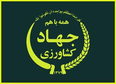 جوابیه وزارت جهاد کشاورزی به نود اقتصادی