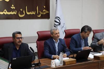 ۹۴ درصد تسهیلات اشتغال در خراسان شمالی جذب شد / اولویت جدید برای طرحهای دانشبنیان