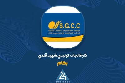  «بکام» و تحقق ۱۴ میلیارد تومان سود خالص در ۳ ماهه نخست