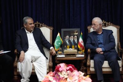  دیدار رسمی وزرای کشور ایران و پاکستان