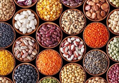 حبوبات در مسیر ارزانی قرار گرفت؟