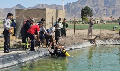 پزشکی قانونی: هشدار درباره افزایش موارد غرقشدگی در فصل گرم سال؛ بیش از ۴۰ درصد تلفات مربوط به تابستان است/ ماه مرداد عمدتاً بیشترین قربانیان را به خود اختصاص میدهد/ سال گذشته ۸۸۸ نفر بر اثر غرقشدگی در کشور جان خود را از دست دادند