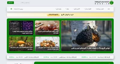 سایت هاگ؛ پلی میان تولیدکنندگان، متخصصان و مصرفکنندگان قارچ