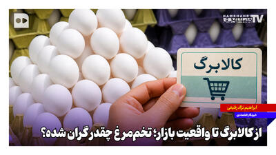 از کالابرگ تا واقعیت بازار؛ تخممرغ چقدر گران شده؟
