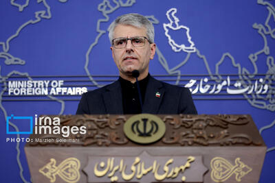  بقائی: میزبانی از دشمنان ایران نشانه ناسپاسی نسبت به گذشته و فقدان آینده‌ نگری است