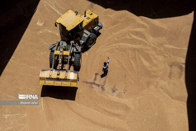  یک هزار و ۶۶۰ میلیارد ریال از مطالبات گندمکاران اردبیل پرداخت شد