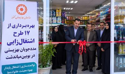  ۱۷ طرح اشتغال‌زایی مددجویان بهزیستی در بویین‌میاندشت به بهره‌برداری رسید