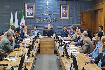  بیش از ۹۷ درصد مصوبات کارگروه تسهیل و رفع موانع تولید کردستان اجرایی شده است