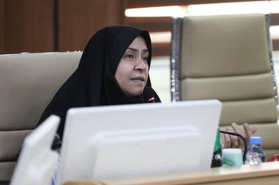 مقصودی: ضعف صنایع تبدیلی و نبود حمایت از سرمایهگذاران، مهمترین مانع توسعه است