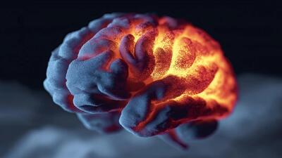 این پروتئین از مغز در برابر آلزایمر محافظت میکند