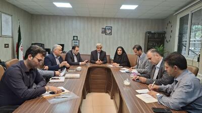 فرماندار: صدور مجوز جدید برای واحدهای نانوایی آزادپز در رشت متوقف شد