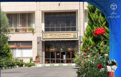 دستیابی پژوهشگران جهاددانشگاهی به دانش فنی هیبریدهای جدید خشخاش
