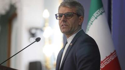  بقائی: میزبانی از دشمنان ایران نشانه ناسپاسی نسبت به گذشته و فقدان آینده‌ نگری است