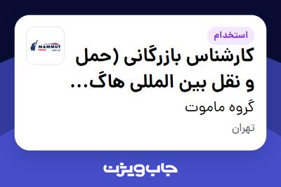  استخدام کارشناس بازرگانی (حمل و نقل بین المللی هاگ بار) در گروه ماموت