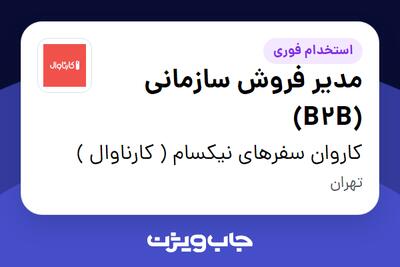  استخدام مدیر فروش سازمانی (B2B) در کاروان سفرهای نیکسام ( کارناوال )