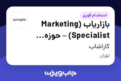  استخدام بازاریاب (Marketing Specialist) – حوزه دیتاسنتر در کاراشاب