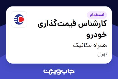  استخدام کارشناس قیمت‌گذاری خودرو در همراه مکانیک