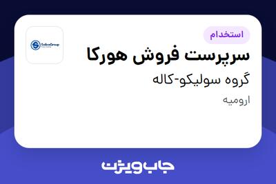  استخدام سرپرست فروش هورکا در گروه سولیکو-کاله