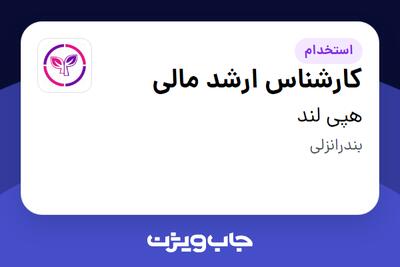  استخدام کارشناس ارشد مالی در هپی لند
