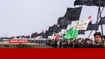 جزئیات ثبت نام کنندگان در سامانه سماح برای حضور در مراسم اربعین